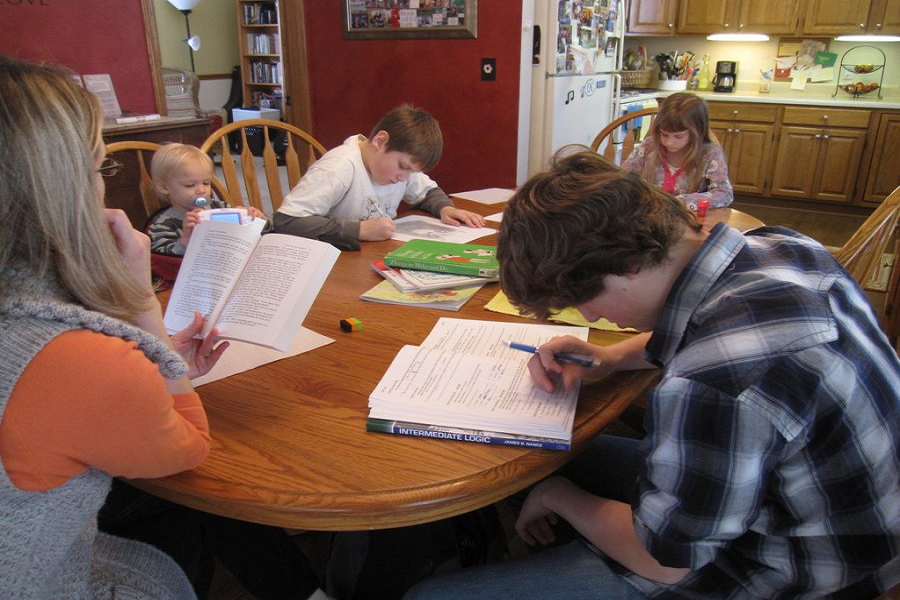 What Is Homeschooling, And How Is It Better Than Regular Schools?